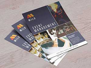 In tờ gấp, Brochure