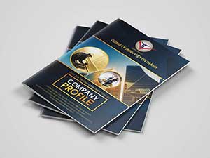 In profile, hồ sơ năng lực